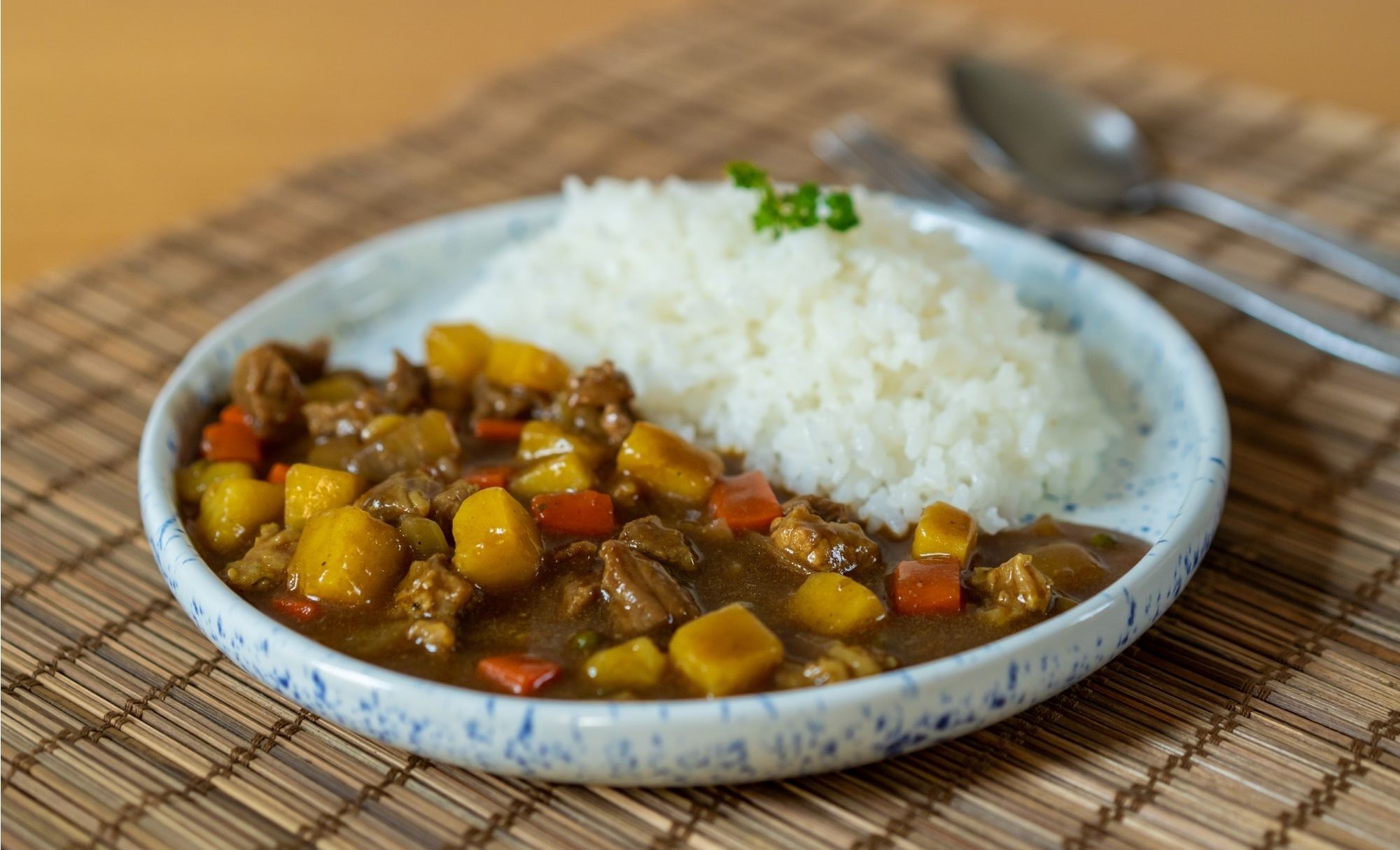 vegetarisches japanisches Curry, reisen, Japan, kochen, Rezept, Kulinarik