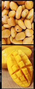 Mango Sticky Reis, reisen, Thailand, thailändisch, Rezept, Nachspeise, Süßspeise, kochen, selbst kochen, Süßes