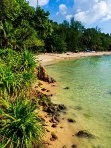 Strand, Insel, Ko Raham, Sehenswürdigkeit, Sehenswürdigkeiten, Insel, Wasser, Meer, Pflanzen