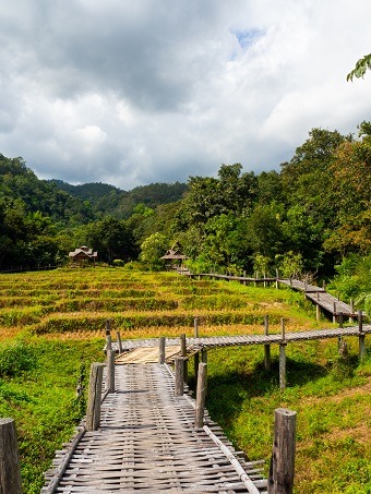 Roadtrip, Thailand, reisen, Backpacking, Pai, Bamboo Bridge, Sehenswürdigkeiten, Sightseeing