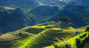 Vietnam, reisen, Weltreise, persönliches, alleine reisen, Sightseeing