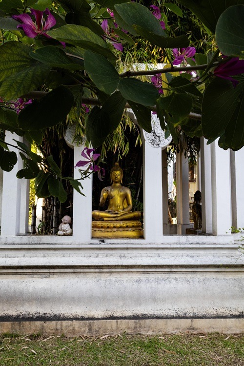 Tempel in Chiang Mai, Tempel, Doi Suthep, Sehenswürdigkeiten Chiang Mai, beste Tempel Chiang Mai, welche Tempel sollte man in Chiang Mai besuchen, Nordthailand, Chiang Mai Altstadt