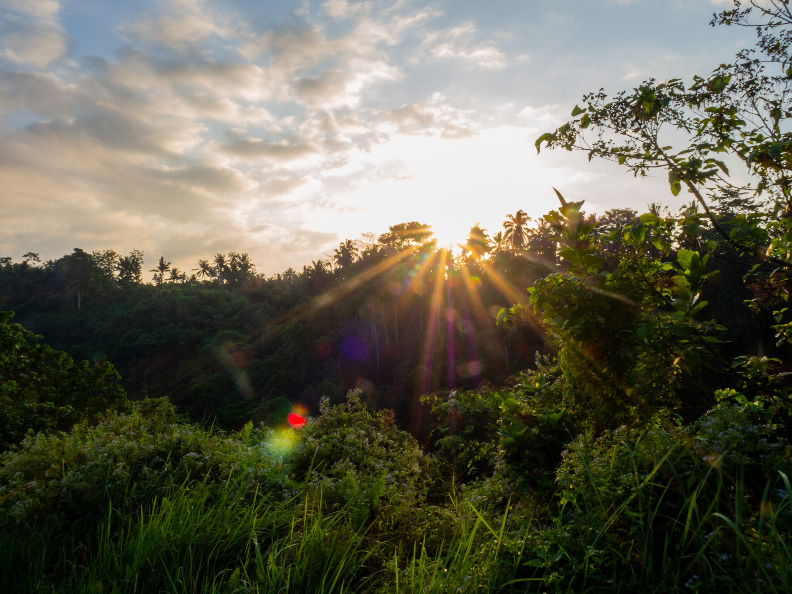 Vietnam: Alles, was du vor deiner Reise wissen musst