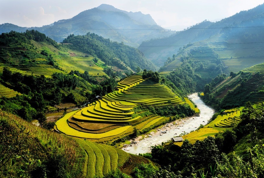 Vietnam, alles was du wissen musst, Reisetipps, Backpacking, Budget-Traveler, Infos, Reiseinfos, Einreise, alleine reisen