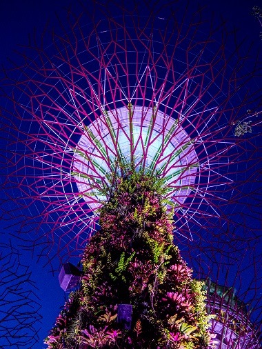 Singapur, Reisen, Backpacking, Asien, alleine reisen, Weltreise, als Frau alleine reisen, Wasserfall, Gardens by the Bay, Bäume, nachts, Flower Dome