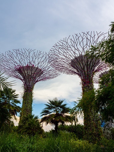 Singapur, Reisen, Backpacking, Asien, alleine reisen, Weltreise, als Frau alleine reisen, Wasserfall, Gardens by the Bay, Bäume, nachts, Flower Dome