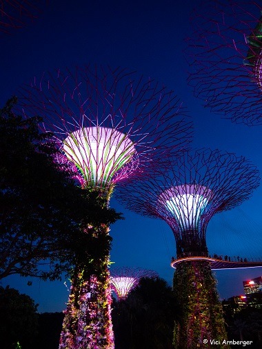Gardens by the Bay , Singapur, reisen, Backpacking, alleine reisen, Asien, Städtetrip, Weltreise, Sehenswürdigkeiten, Sightseeing, Backpacking