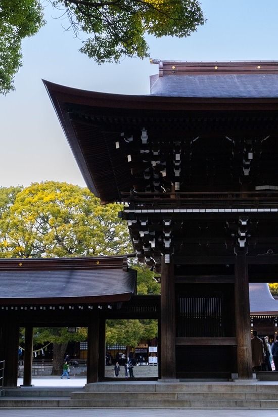 Japan, Backpacking, Sightseeing, Tempel, Aktivitäten, Sehenswürdigkeiten, alleine reisen, solotravel, Tokyo