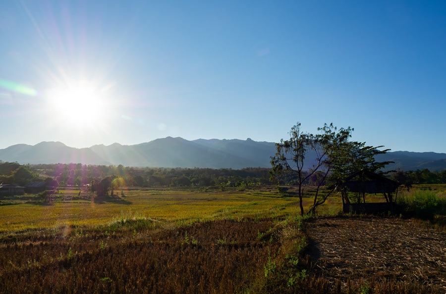 Sehenswürdigkeiten Pai, Aktivitäten Pai, What to do, What to do in Pai, Thailand, Nordthailand, White Buddha, Bamboo Bridge, Anfahrt Pai, Alleinreisende, Backpacker
