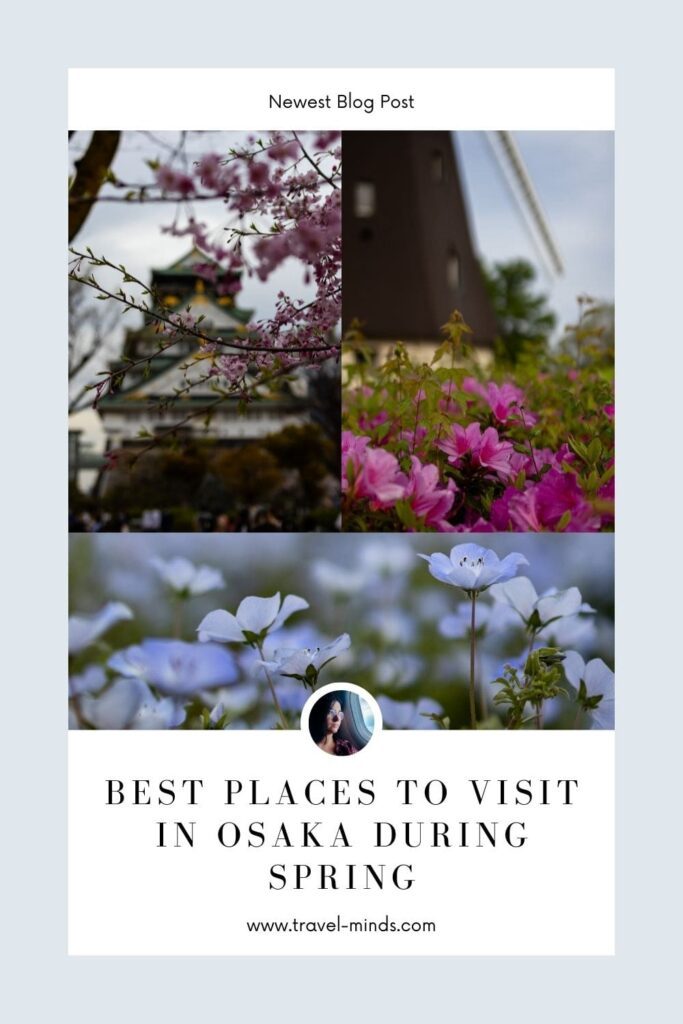 Frühling Osaka, Osaka, Sakura, reisen, Backpacking, Japan, alleinreisen, PINTEREST