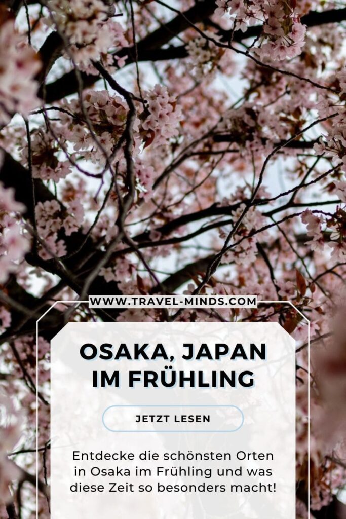 Osaka, Japan, Frühling Japan, Sakura, Kirschblüte, Sightseeing, What to do Sakura, Sightseeing Sakura, Sehenswürdigkeiten Kirschblüte, Frühling Osaka