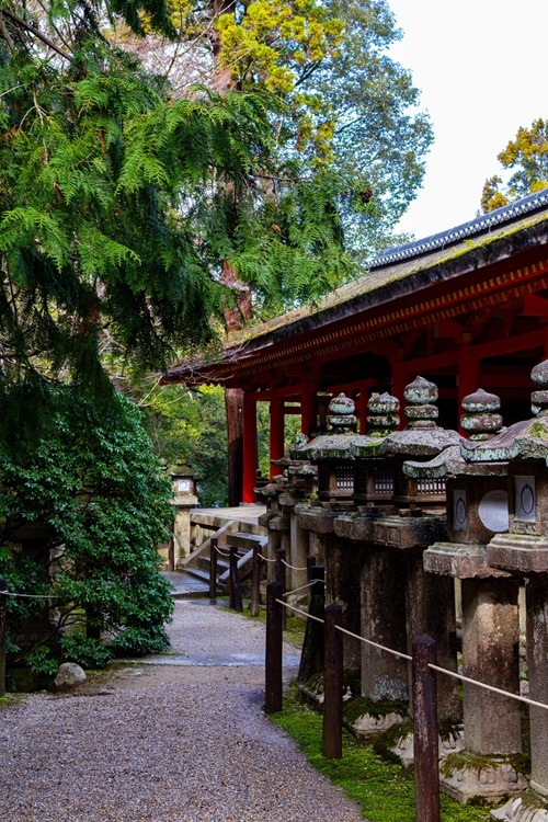 Nara, Nara Park, Tempel, Nara Guide, Reiseguide, Travel Guide, Backpacking, Sightseeing, Japan