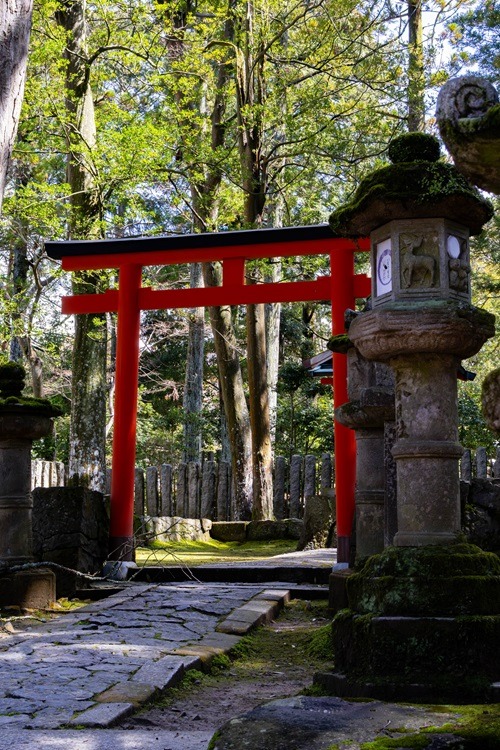 Nara, Nara Park, Tempel, Nara Guide, Reiseguide, Travel Guide, Backpacking, Sightseeing, Japan