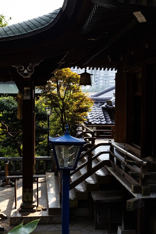 Tempel, Sightseeing, Ueno, Ueno Park, Sehenswürdigkeiten, Tokyo, Japan, Backpacking, erkunden von Japan