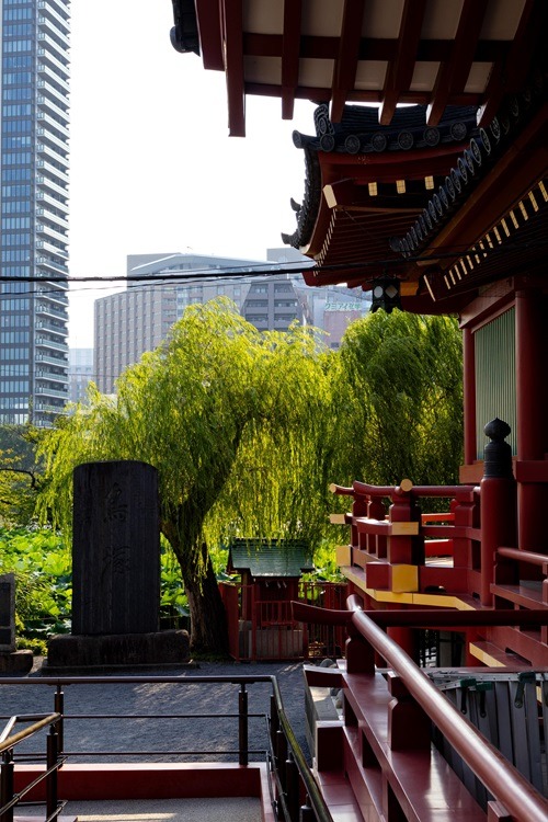 Tempel, Sightseeing, Ueno, Ueno Park, Sehenswürdigkeiten, Tokyo, Japan, Backpacking, erkunden von Japan