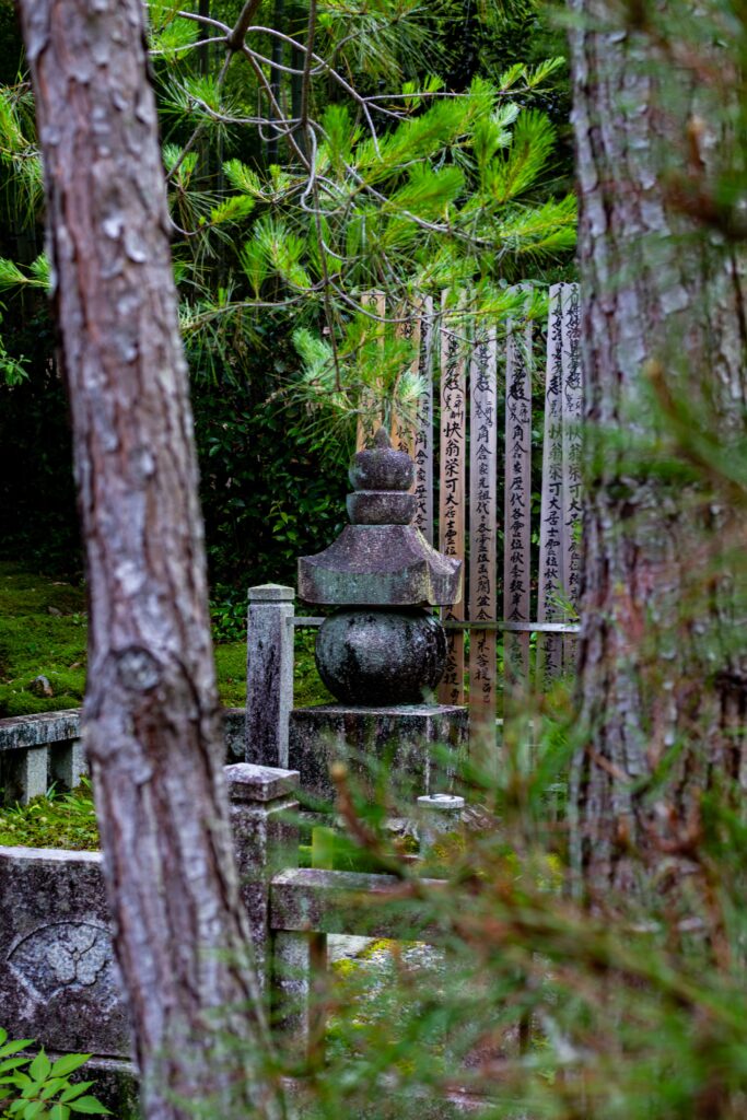 Arashiyama, Kyoto, Japan, alleinreisende Frauen, Backpacker, Budgetreisende, Bambusforest, Tempel, Tempelenergie. Aussicht