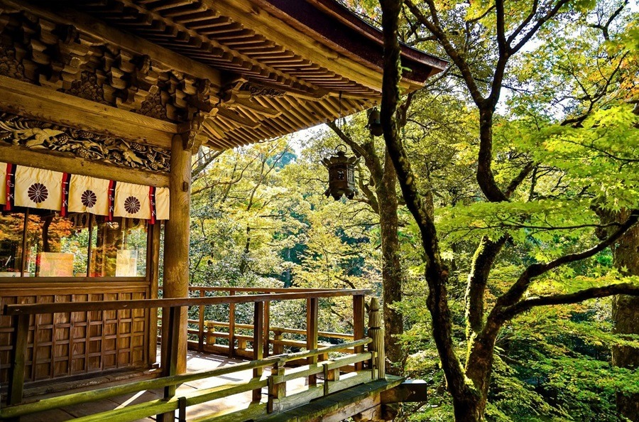 Working Holiday, Working Holiday Japan, Work & Travel, Backpacking, in Japan leben, durch Japan reisen, Japan