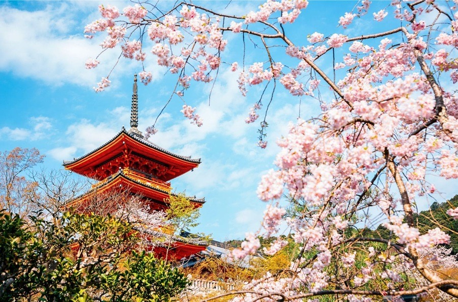 Working Holiday, Working Holiday Japan, Work & Travel, Backpacking, in Japan leben, durch Japan reisen, Japan