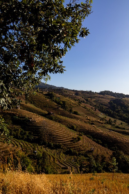 Mae Hong Son Loop, Thailand, Mae Hong Son Loop Thailand, Guide, Reisetipps, Mae Hong Son Loop Route, übernachten Mae Hong Son Loop, Nordthailand Roadtrip, Reiseroute Mae Hong Son Loop planen, Chiang Mai Roadtrip, Abenteuer Thailand mit Roller, Ban Rak Thai, Mae Hong Son, Doi Inthanon, Nationalpark Thailand, Pai, Chiang Mai, Sehenswürdigkeiten, Backpacking, Roller fahren Thailand, alleine reisen