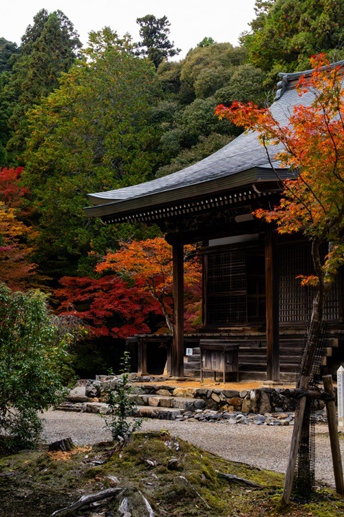 Osaka, Sehenswürdigkeiten, Ausflug, Japan, Sightseeing, what to do Osaka, Osaka Guide, Osaka Castle, Tempel, Dotonbori, Kyoto, Nara, Kobe, Himeji, Uji