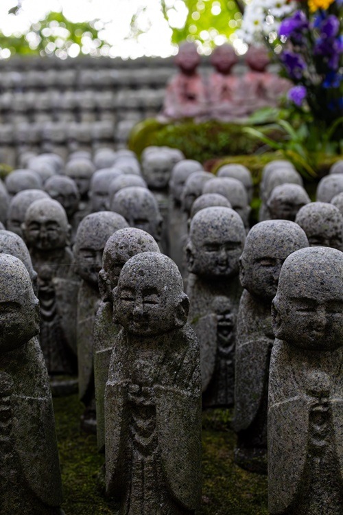 Kamakura, Guide, Reiseguide, Japan, Kanto Region, Backpacking, Sightseeing, Streetphotography, Tempel, Bamboo