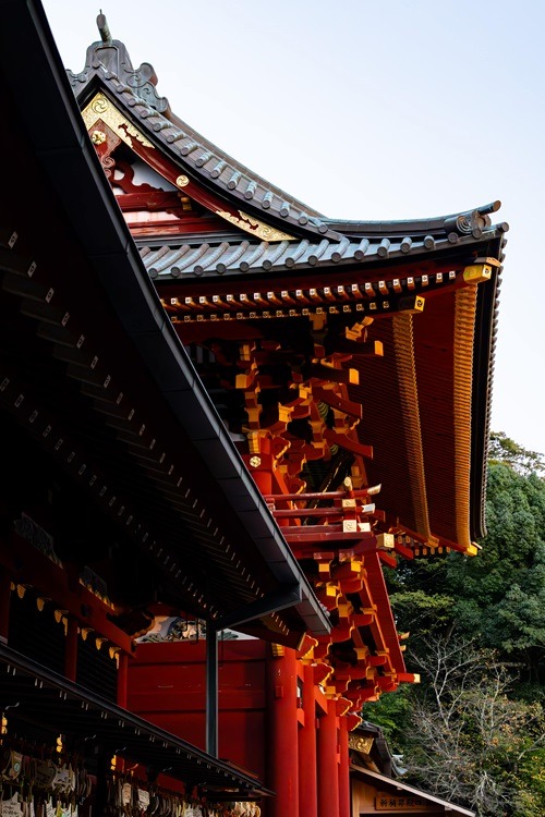 Kamakura, Guide, Reiseguide, Japan, Kanto Region, Backpacking, Sightseeing, Streetphotography, Tempel, Bamboo