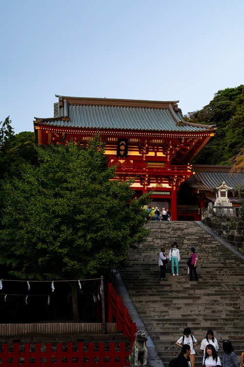 Kamakura, Guide, Reiseguide, Japan, Kanto Region, Backpacking, Sightseeing, Streetphotography, Tempel, Bamboo