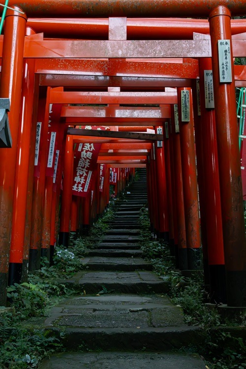 Kamakura, Guide, Reiseguide, Japan, Kanto Region, Backpacking, Sightseeing, Streetphotography, Tempel