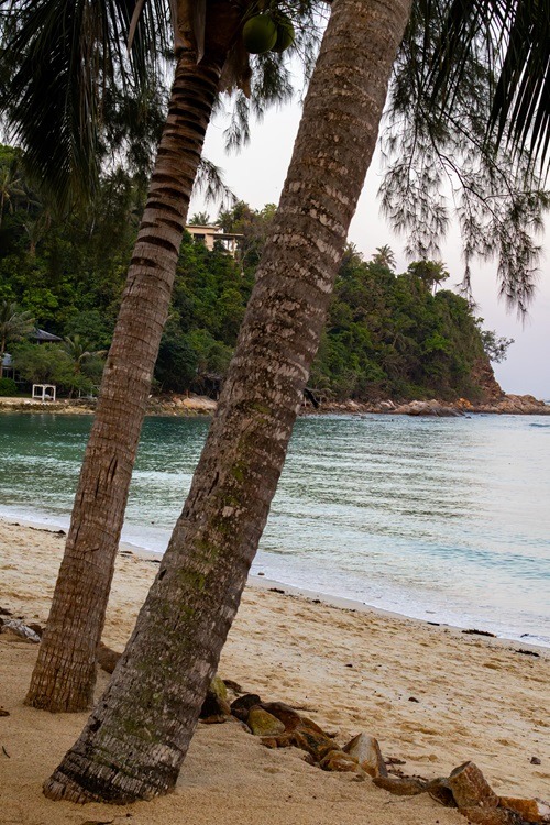 koh phangan strand, haad rin beach, haad yuan beach, bottle beach, koh phangan aussichtspunkt, sonnenuntergang koh phangan, koh phangan roller mieten, insel koh phangan, koh phangan backpacker, unterkunft koh phangan, koh phangan highlights, natur koh phangan, full moon party beach, ruhige strände koh phangan, koh phangan reisetipps, koh phangan yoga, haad yao beach, thongsala night market, lokalessen koh phangan, tempel koh phangan, panorama koh phangan, tropische insel thailand, Guide