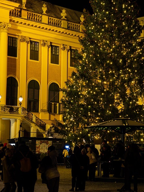 Wien im Winter, Winter in Wien, Weihnachtsmarkt Wien Rathausplatz bei Nacht mit Lichtermeer, Schloss Schönbrunn Weihnachtsmarkt mit Besuchern im Winter, romantischer Weihnachtsmarkt am Spittelberg mit Handwerksständen, alternativer Weihnachtsmarkt Altes AKH mit Feuerstelle, beleuchteter Graben in Wien zur Weihnachtszeit, Wiener Eistraum Eislaufplatz vor dem Rathaus, verschneiter Schlosspark Schönbrunn im Winter, gemütliches Kaffeehaus in Wien mit Weihnachtsdekoration, Punschtasse auf Weihnachtsmarkt in Wien, handgemachter Christbaumschmuck am Marktstand in Wien, warme Winterkleidung für Städtereise nach Wien, Packliste für Wien im Dezember, Café Diglas Wien gemütlich im Winter, Café Sperl mit klassischer Einrichtung, Lichterketten am Stephansplatz in Wien im Advent, Thermenbesuch in Wien im Winter bei Schnee, Spaziergang durch den ersten Bezirk in Wien mit Weihnachtsbeleuchtung